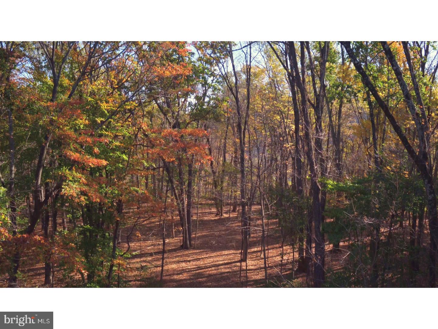 3800 Windy Bush Road New Hope, PA 18938 - Photo 4 of 13 Gallery Image 4
