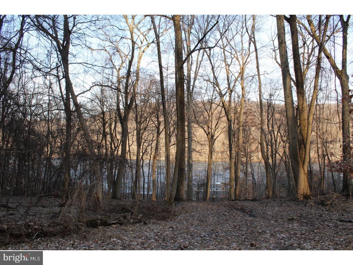 3800 Windy Bush Road New Hope, PA 18938 - Photo 10 of 13 Gallery Image 10