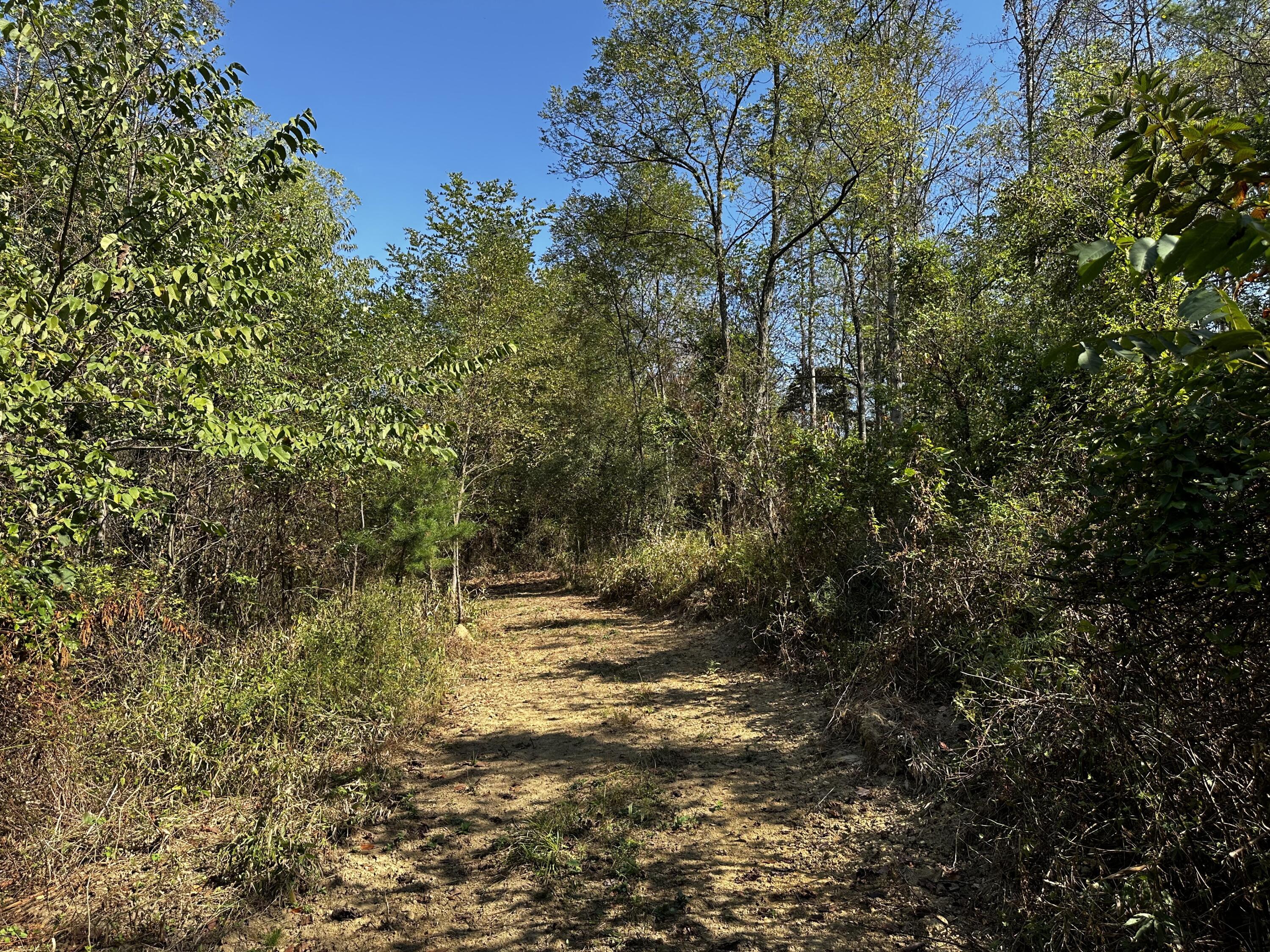 0 Dutch Ridge Road, Unit TRACT 5 AT DUTCH RIDGE) New Straitsville, OH 43766 - Photo 45 of 49 20240920_151106384_iOS