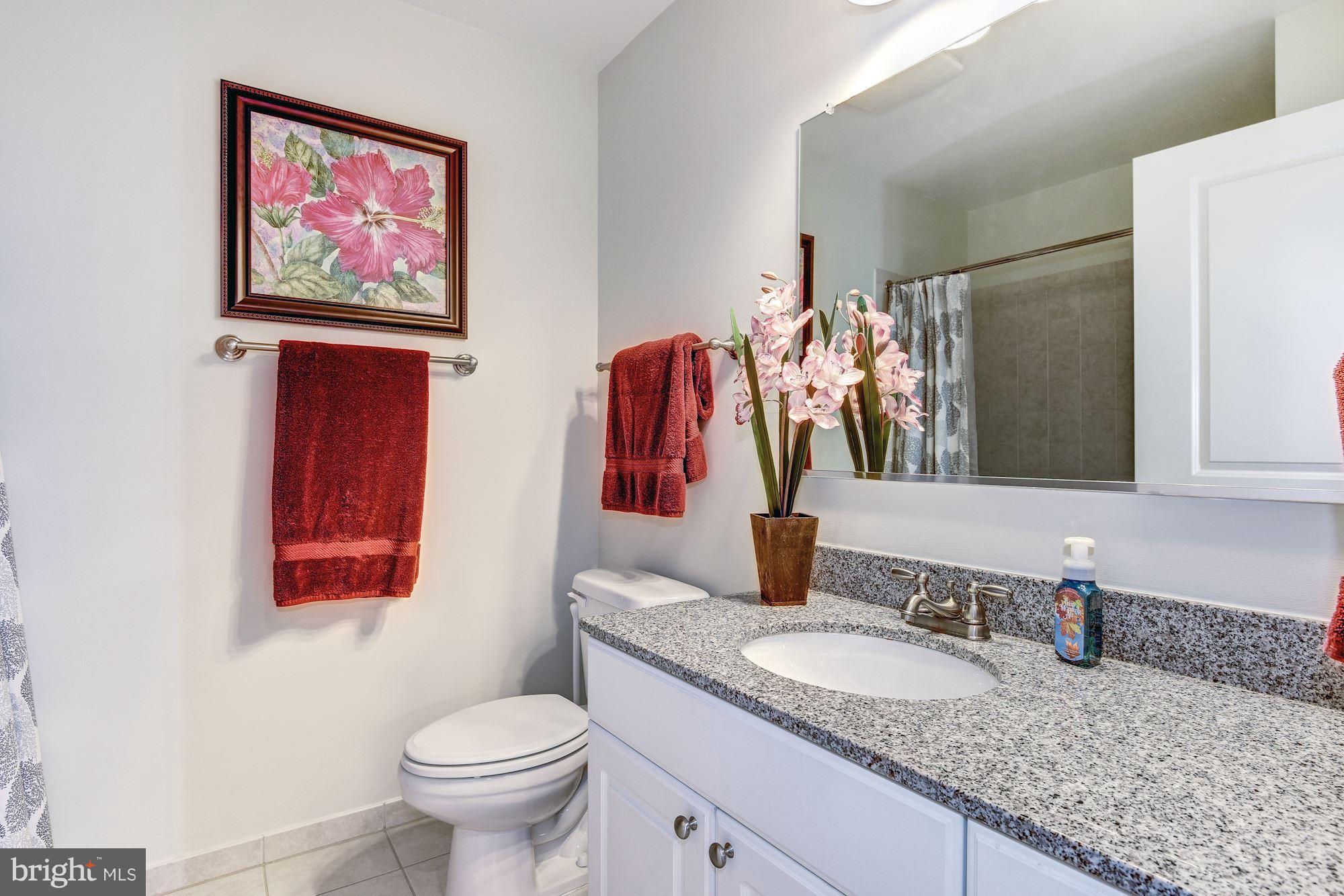 3600 South Glebe Road, Unit 918W Arlington, VA 22202 - Photo 11 of 30 a bathroom with a granite countertop sink and a mirror