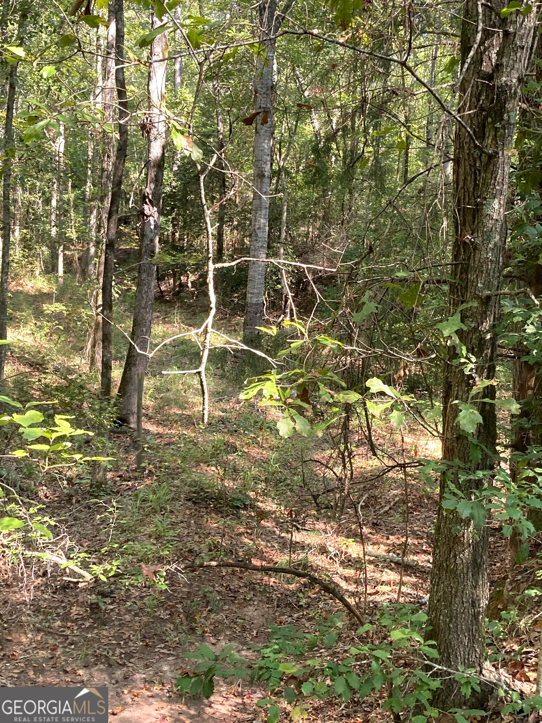 0 Firetower Road Cusseta, GA 31805 - Photo 9 of 12