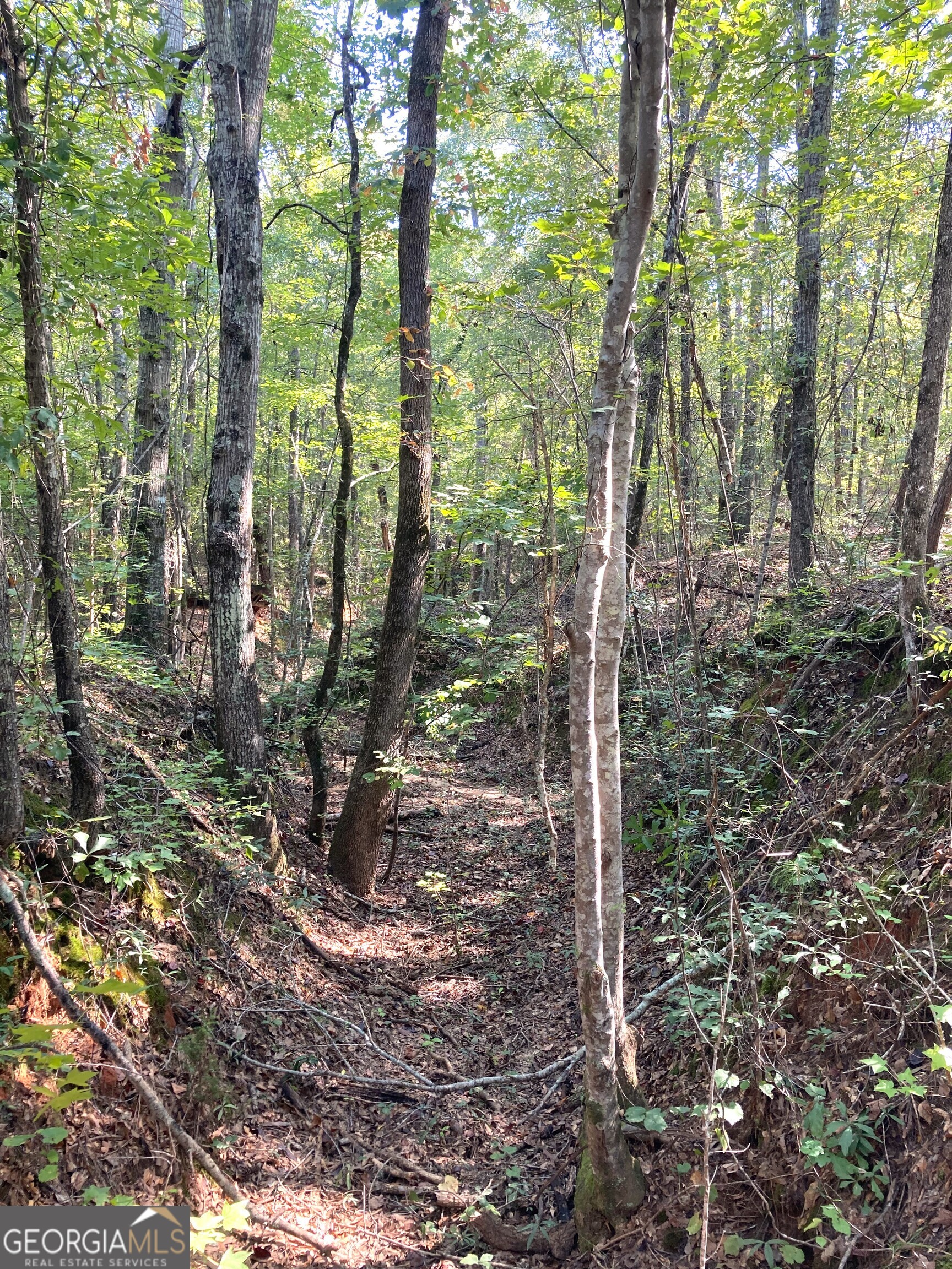 0 Firetower Road Cusseta, GA 31805 - Photo 10 of 12 a backyard of a house with lots of green space