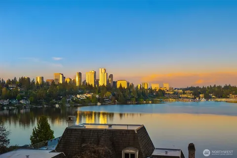a view of a lake with a city view