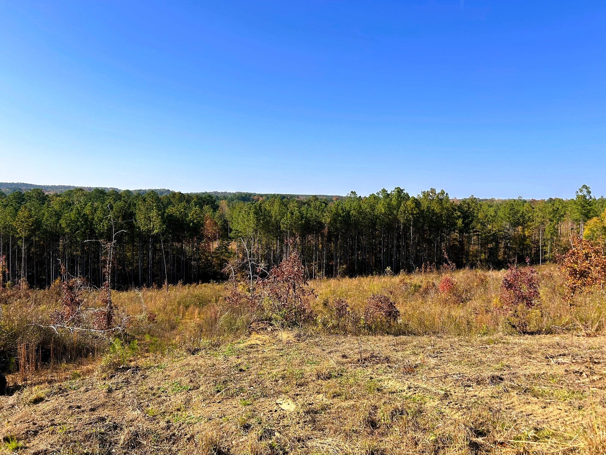 17 Hughes Lake Road Southeast Cleveland, TN 37323 - Photo 23 of 25