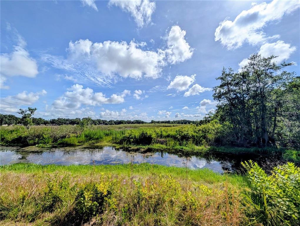 0 North Toro Drive Inverness, FL 34453 - Photo 1 of 12