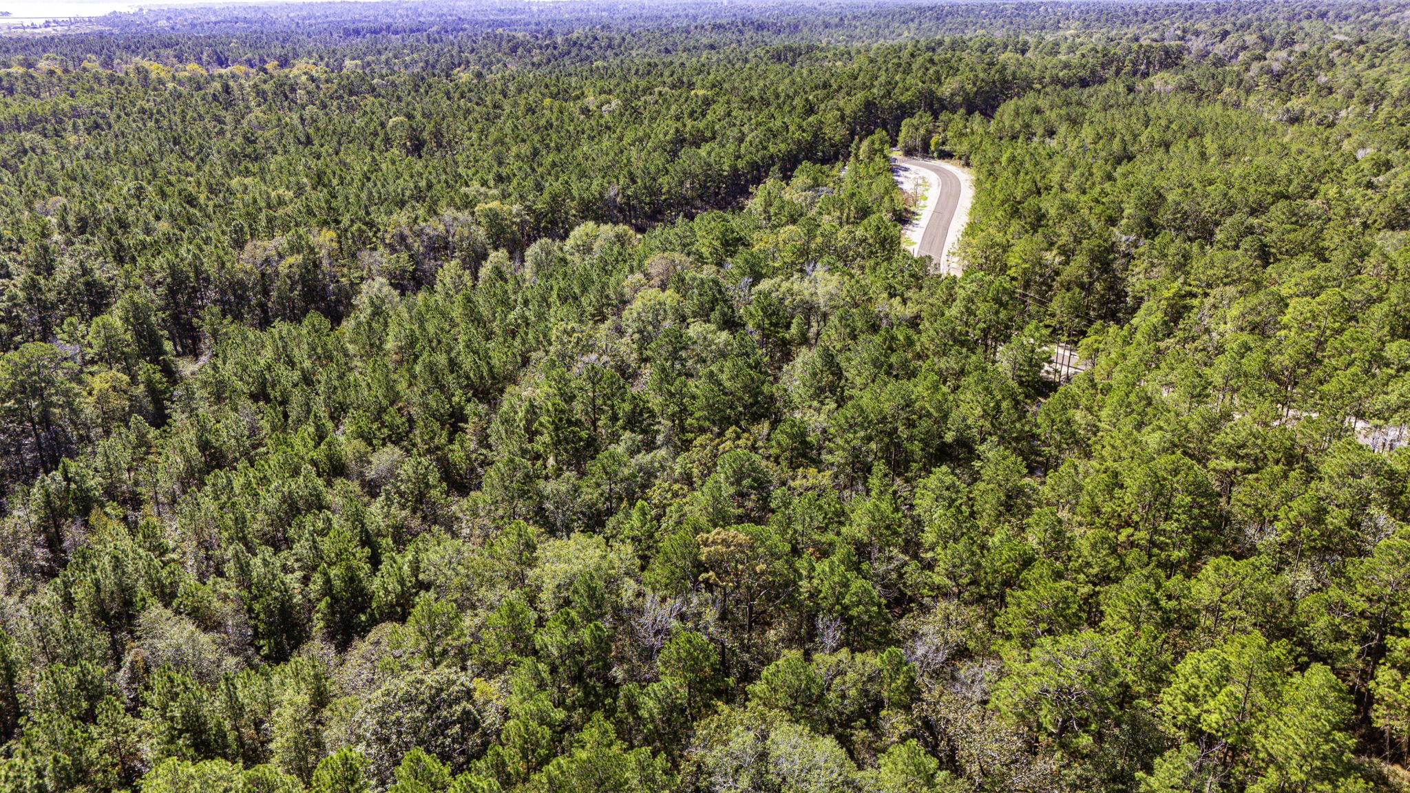 31 King Ranch Road Road Onalaska, TX 77360 - Photo 12 of 14