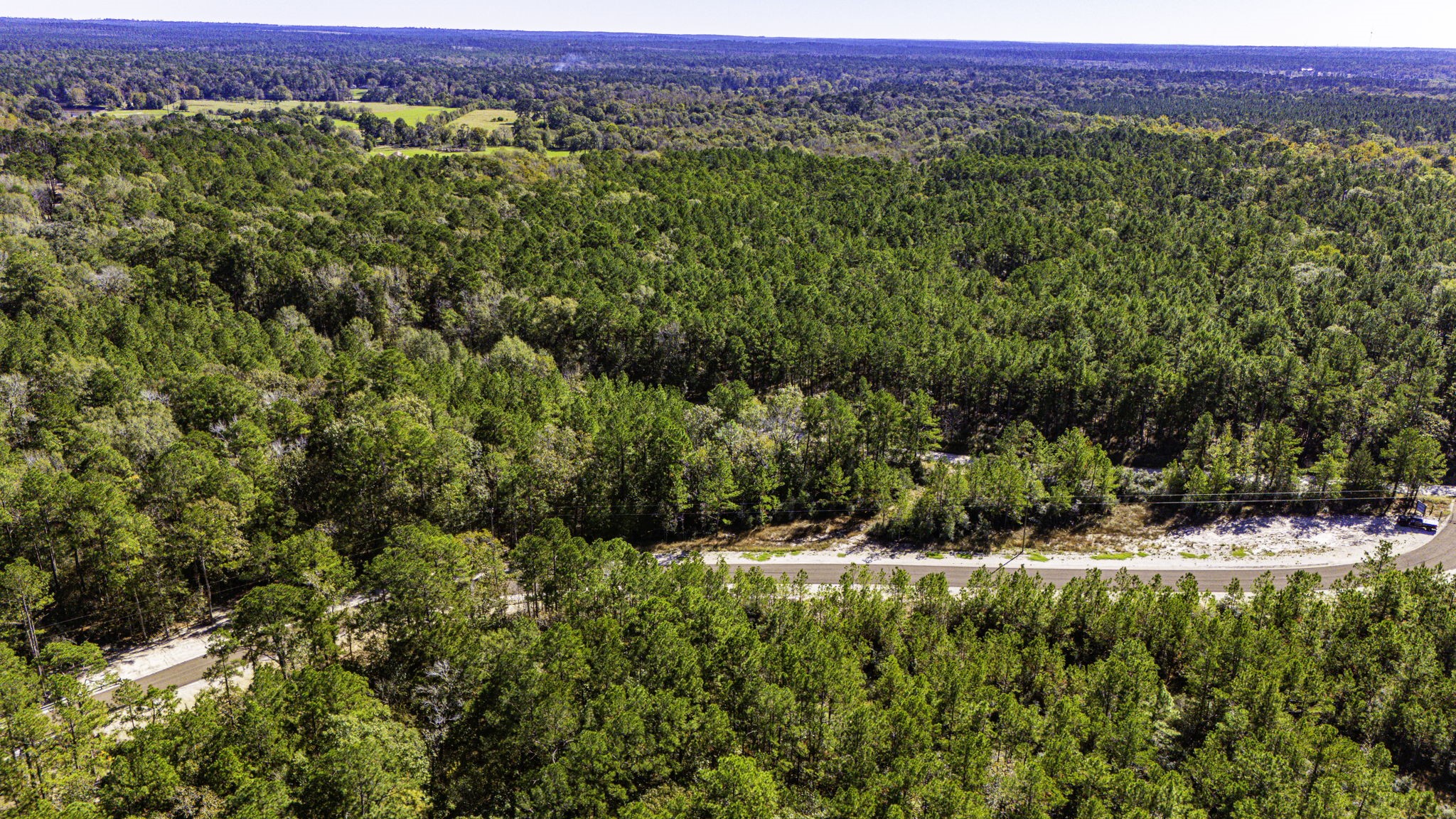 31 King Ranch Road Road Onalaska, TX 77360 - Photo 7 of 14