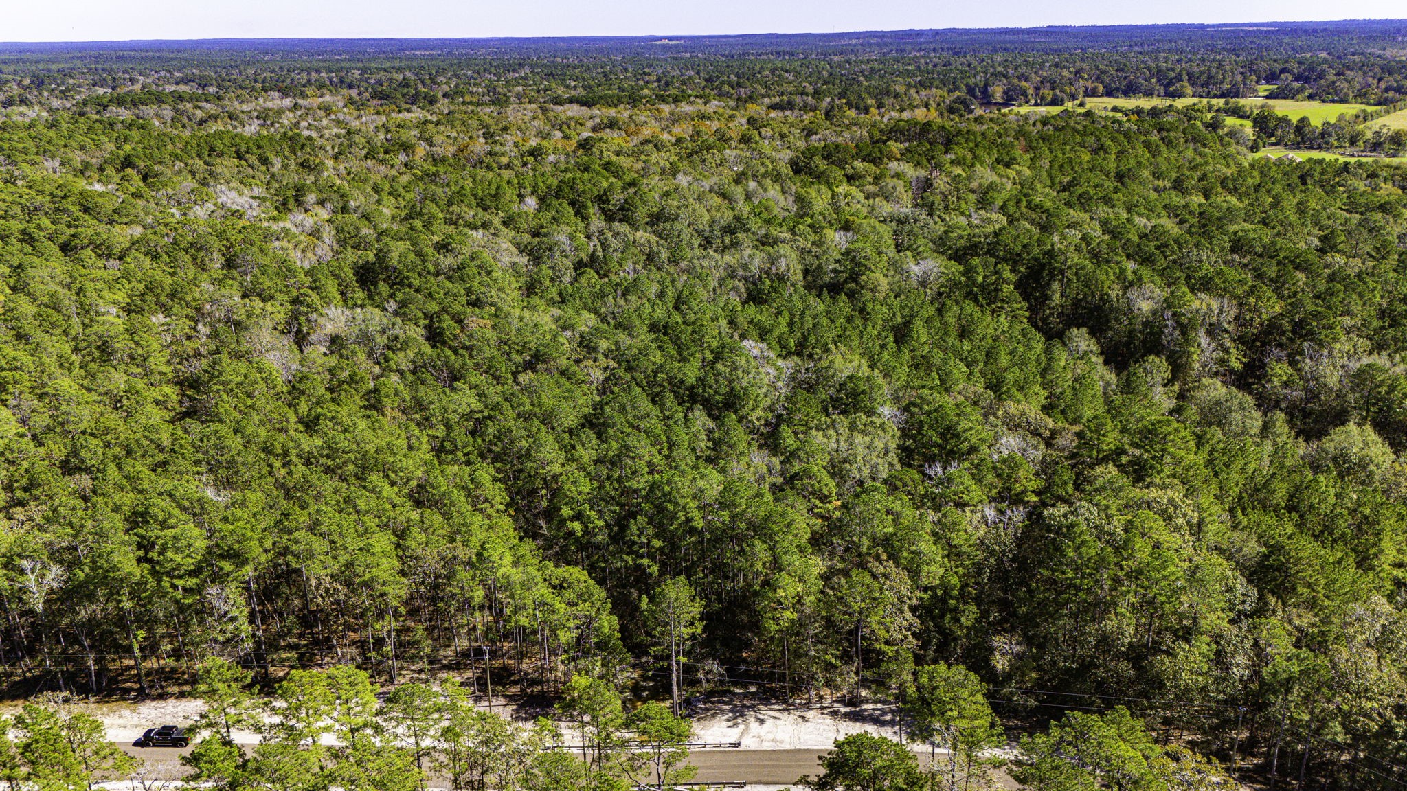31 King Ranch Road Road Onalaska, TX 77360 - Photo 8 of 14