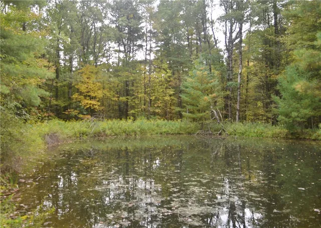 $209,000 | 330 Tallow Hill Road, Spencer, NY 14883