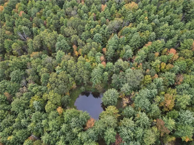 $209,000 | 330 Tallow Hill Road, Spencer, NY 14883