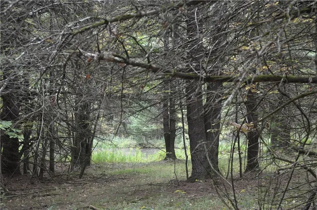 $209,000 | 330 Tallow Hill Road, Spencer, NY 14883