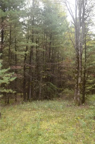 $209,000 | 330 Tallow Hill Road, Spencer, NY 14883