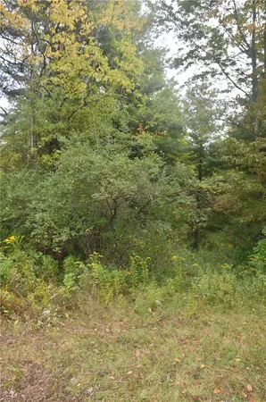 $199,000 | 330 Tallow Hill Road, Spencer, NY 14883