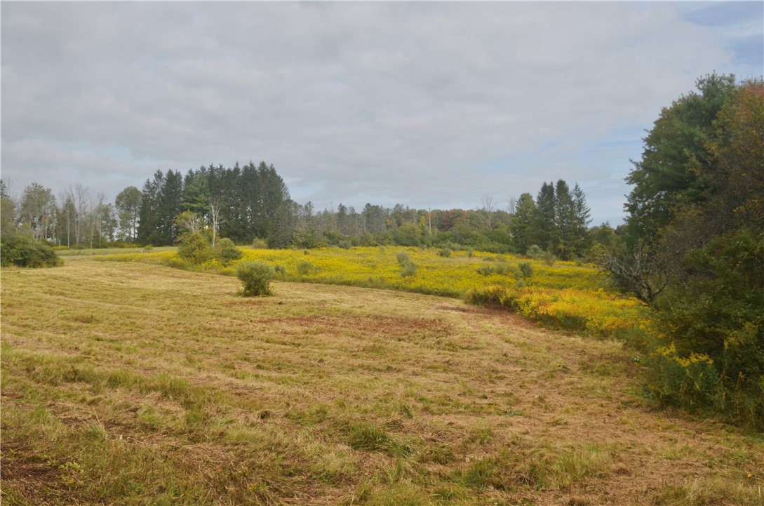 330 Tallow Hill Road Spencer, NY 14883 - Photo 17 of 24