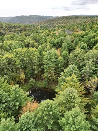 $199,000 | 330 Tallow Hill Road, Spencer, NY 14883
