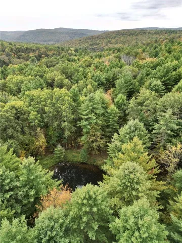 $209,000 | 330 Tallow Hill Road, Spencer, NY 14883