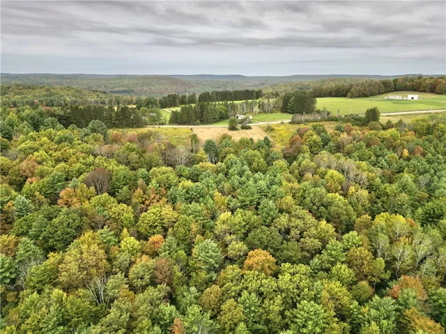 $209,000 | 330 Tallow Hill Road, Spencer, NY 14883
