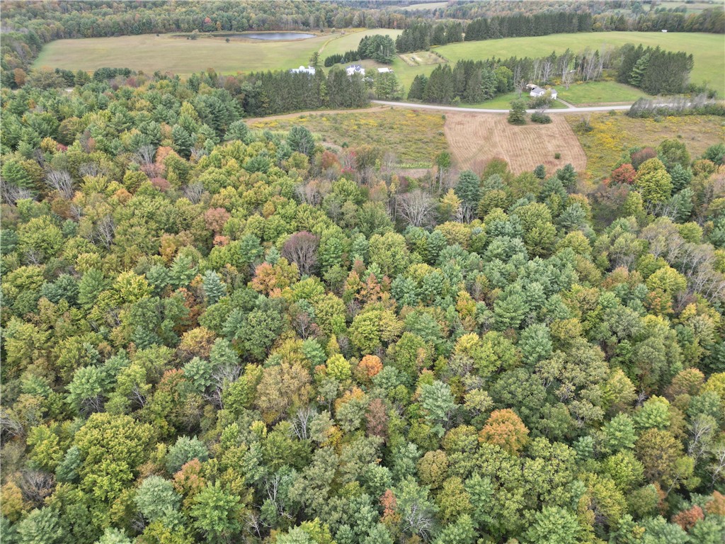 330 Tallow Hill Road Spencer, NY 14883 - Photo 20 of 24