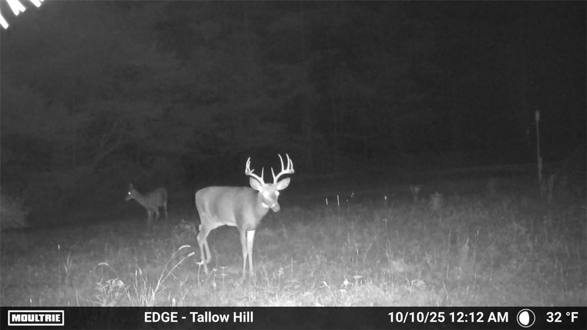 330 Tallow Hill Road Spencer, NY 14883 - Photo 2 of 24