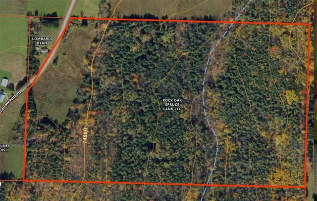 $209,000 | 330 Tallow Hill Road, Spencer, NY 14883