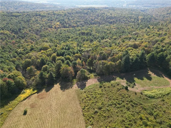 $209,000 | 330 Tallow Hill Road, Spencer, NY 14883