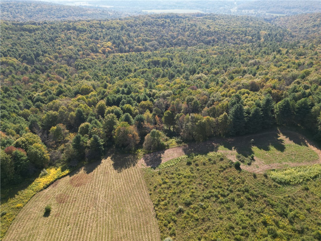 330 Tallow Hill Road Spencer, NY 14883 - Photo 3 of 24