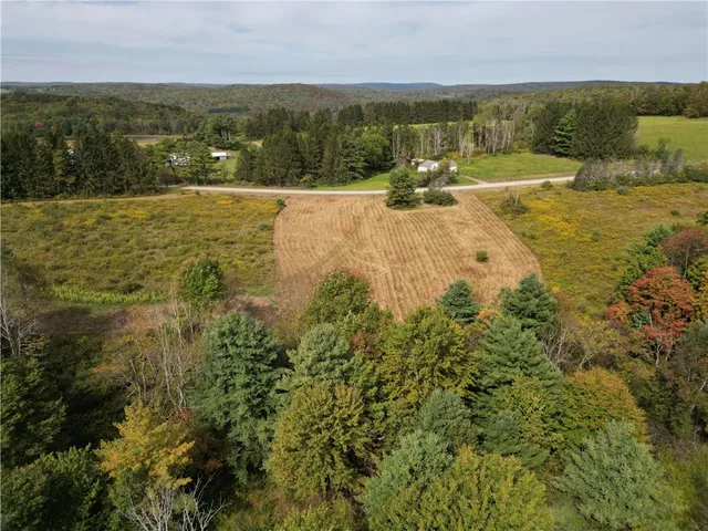 $209,000 | 330 Tallow Hill Road, Spencer, NY 14883