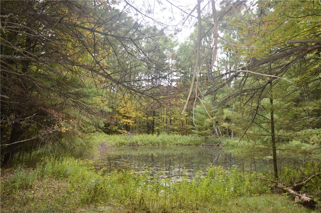 330 Tallow Hill Road Spencer, NY 14883 - Photo 5 of 24