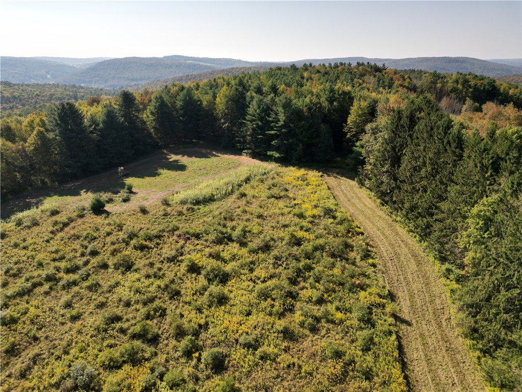 330 Tallow Hill Road Spencer, NY 14883 - Photo 7 of 24