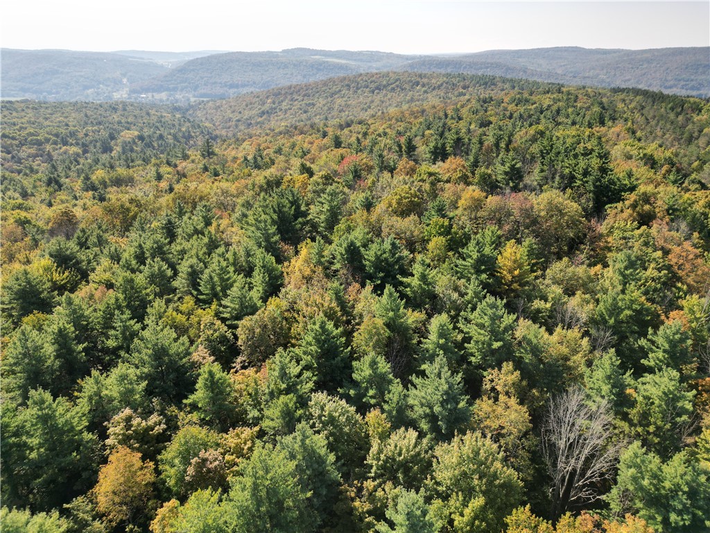 330 Tallow Hill Road Spencer, NY 14883 - Photo 8 of 24