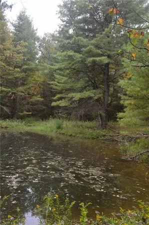 $199,000 | 330 Tallow Hill Road, Spencer, NY 14883