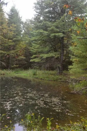 $209,000 | 330 Tallow Hill Road, Spencer, NY 14883