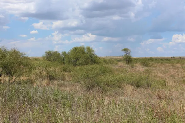 a view of a dry field
