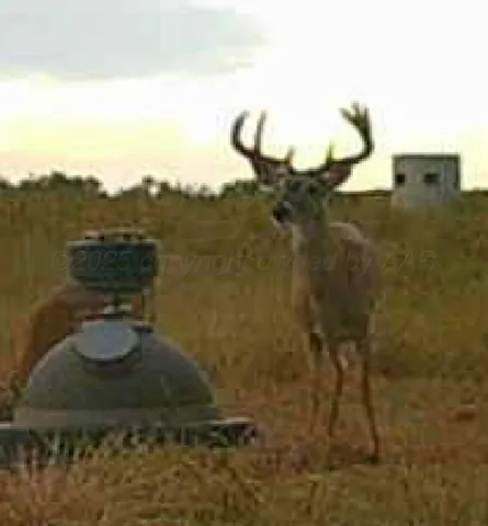 a view of a house with a mountain in the background