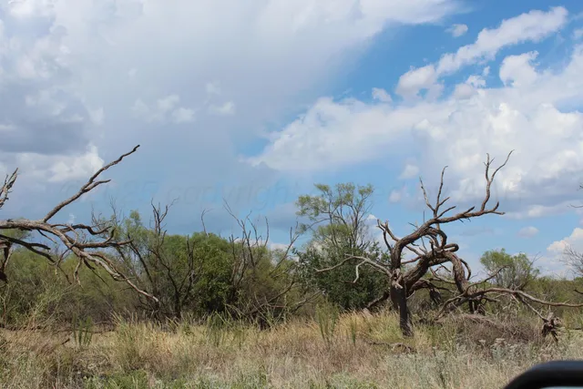 a backyard of a house