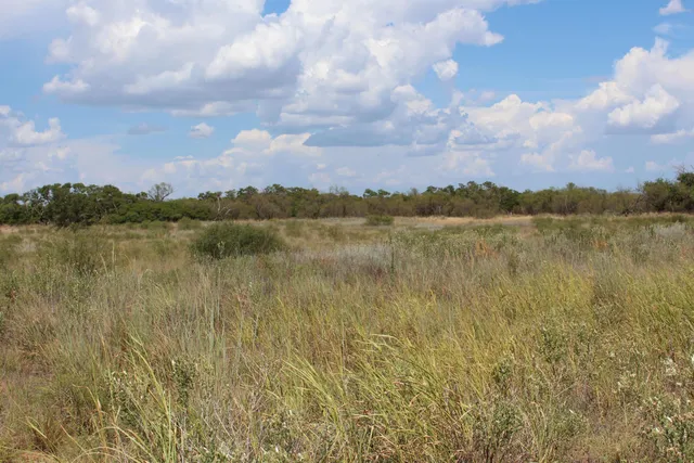 a view of lake with mountain
