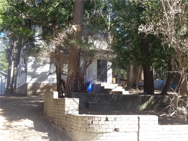 a view of a yard with plants
