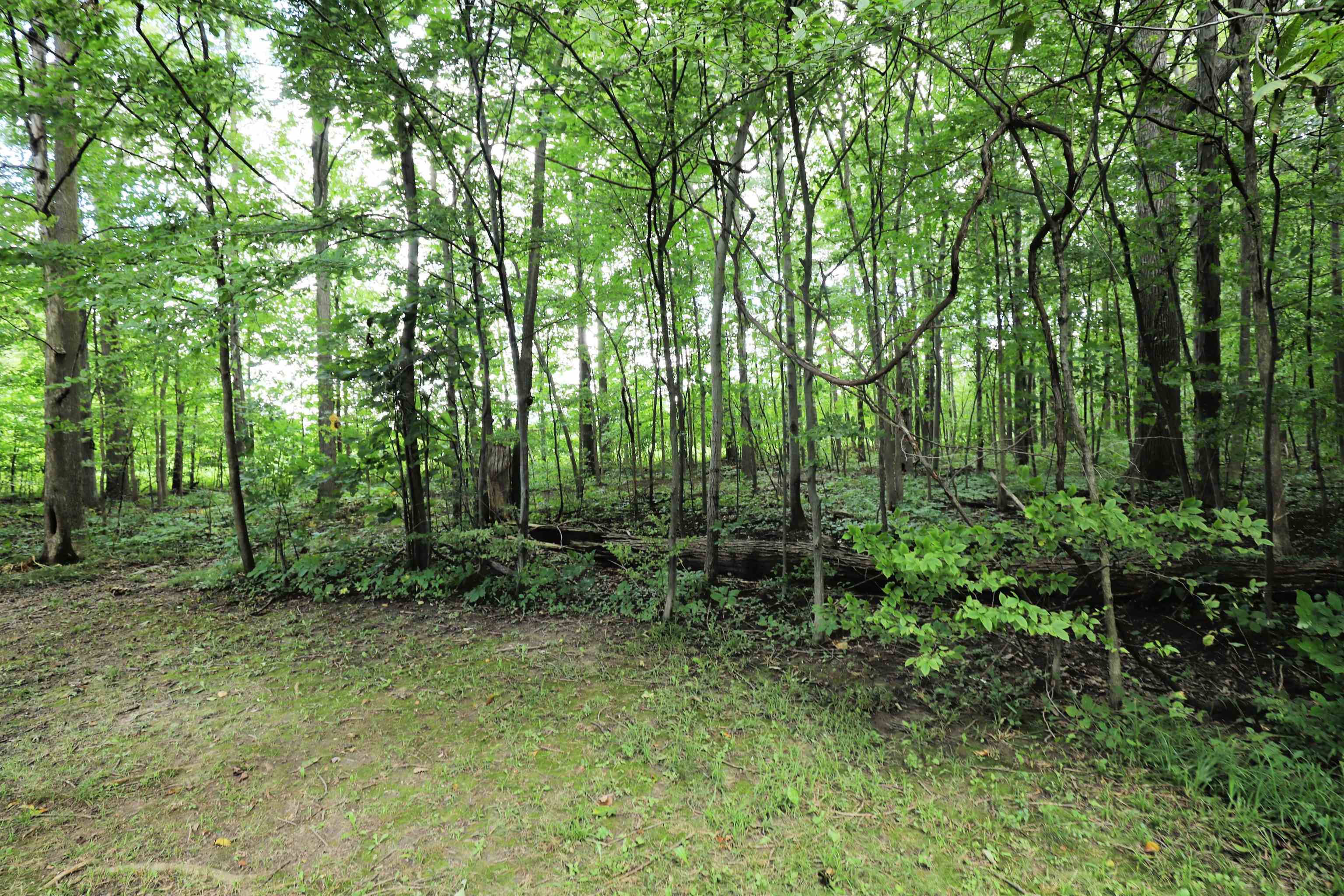 7298 North Nichols Road Flushing, MI 48433 - Photo 28 of 34 50152909-85201a65-c492-41cd-a028-e346ab0a8b3f.JPG