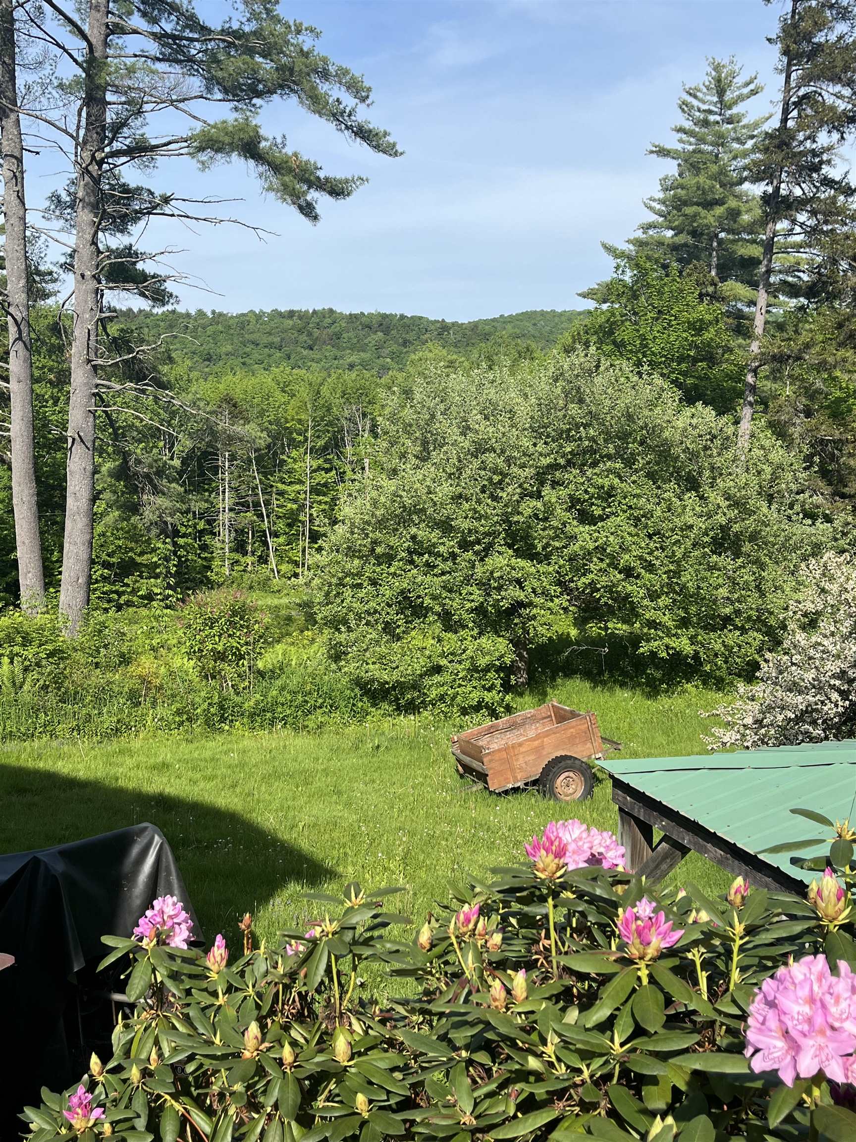 1378 Hallstrom Road Northfield, VT 05663 - Photo 49 of 58