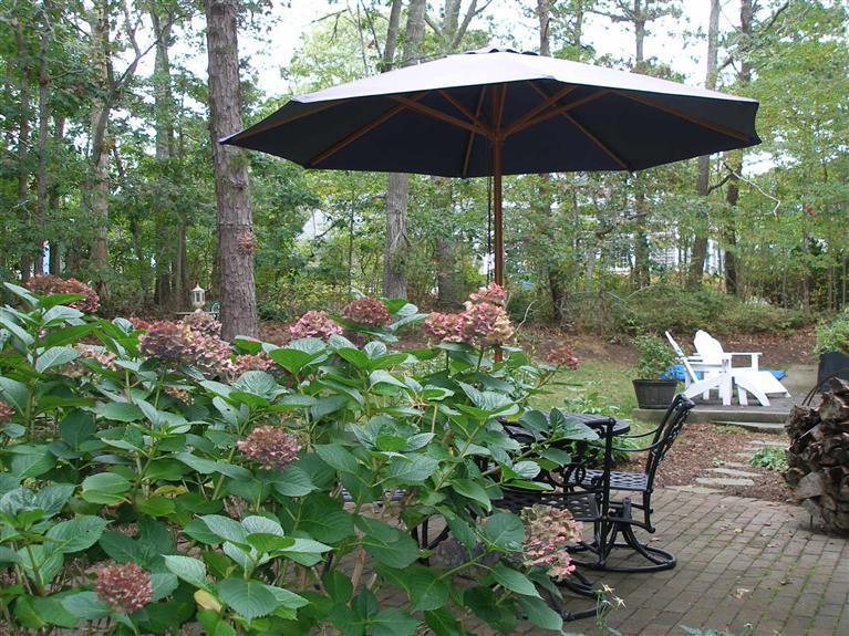 14 Paddock Pond Road Harwich, MA 02645 - Photo 7 of 28 a view of a chair and table in the patio and a garden
