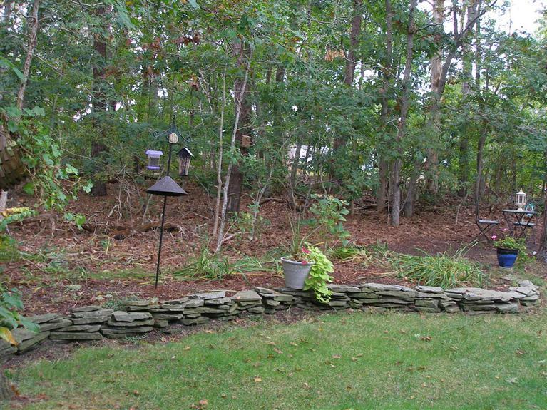 14 Paddock Pond Road Harwich, MA 02645 - Photo 8 of 28 a backyard of a house with lots of green space
