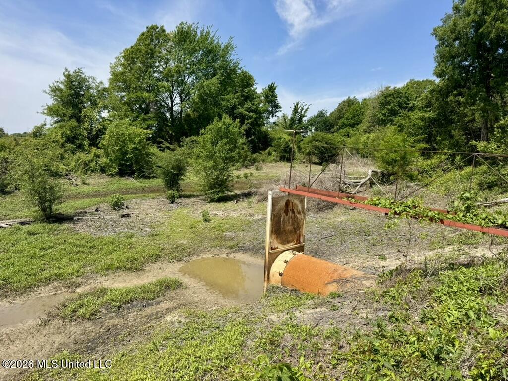 1 Highway 3 Lambert, MS 38643 - Photo 80 of 102 3D1423B9-80AB-4C29-A854-270A201CC49F_1_1