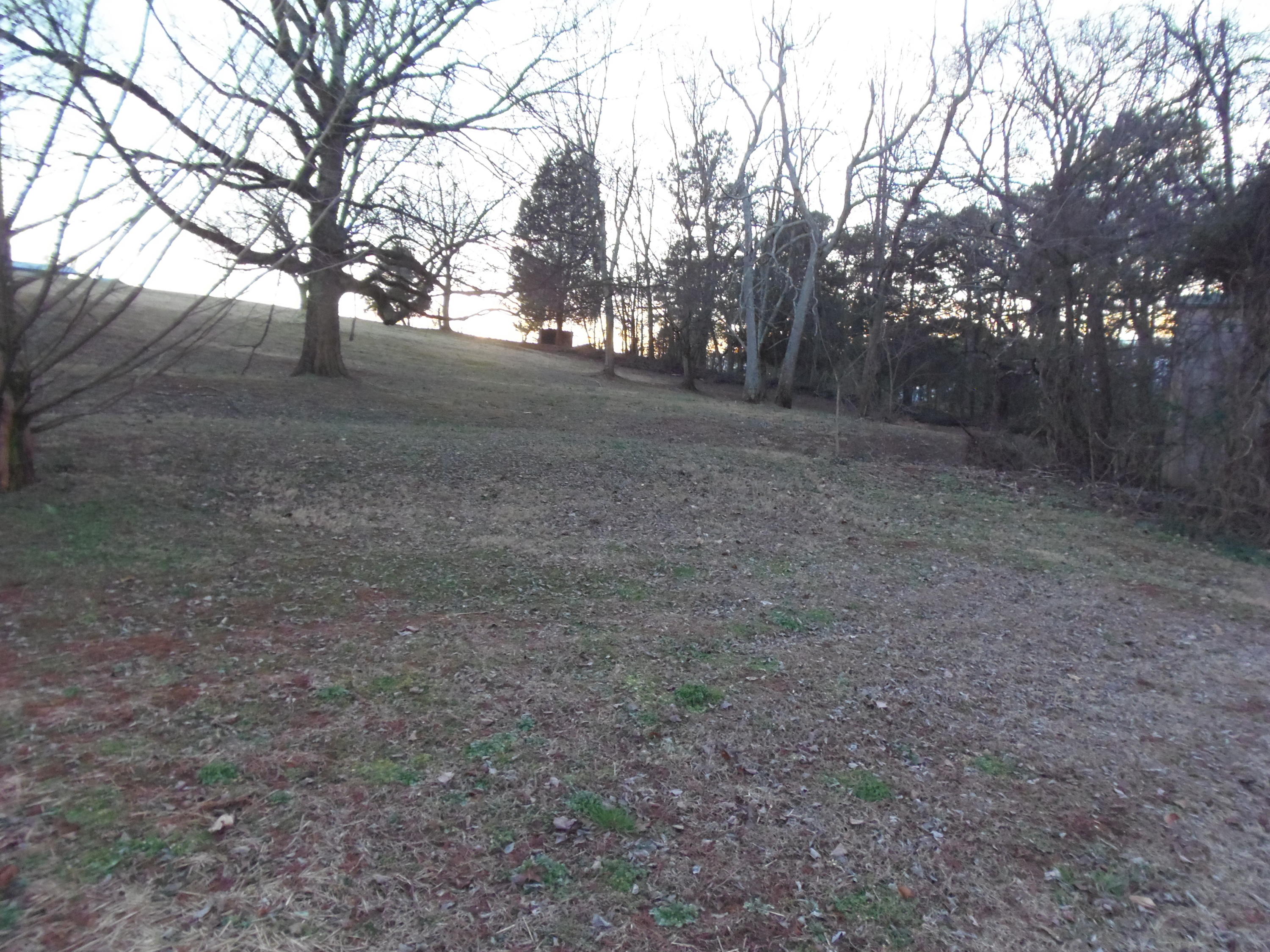 188 Setterberg Road Philadelphia, TN 37846 - Photo 13 of 34 P1100604
