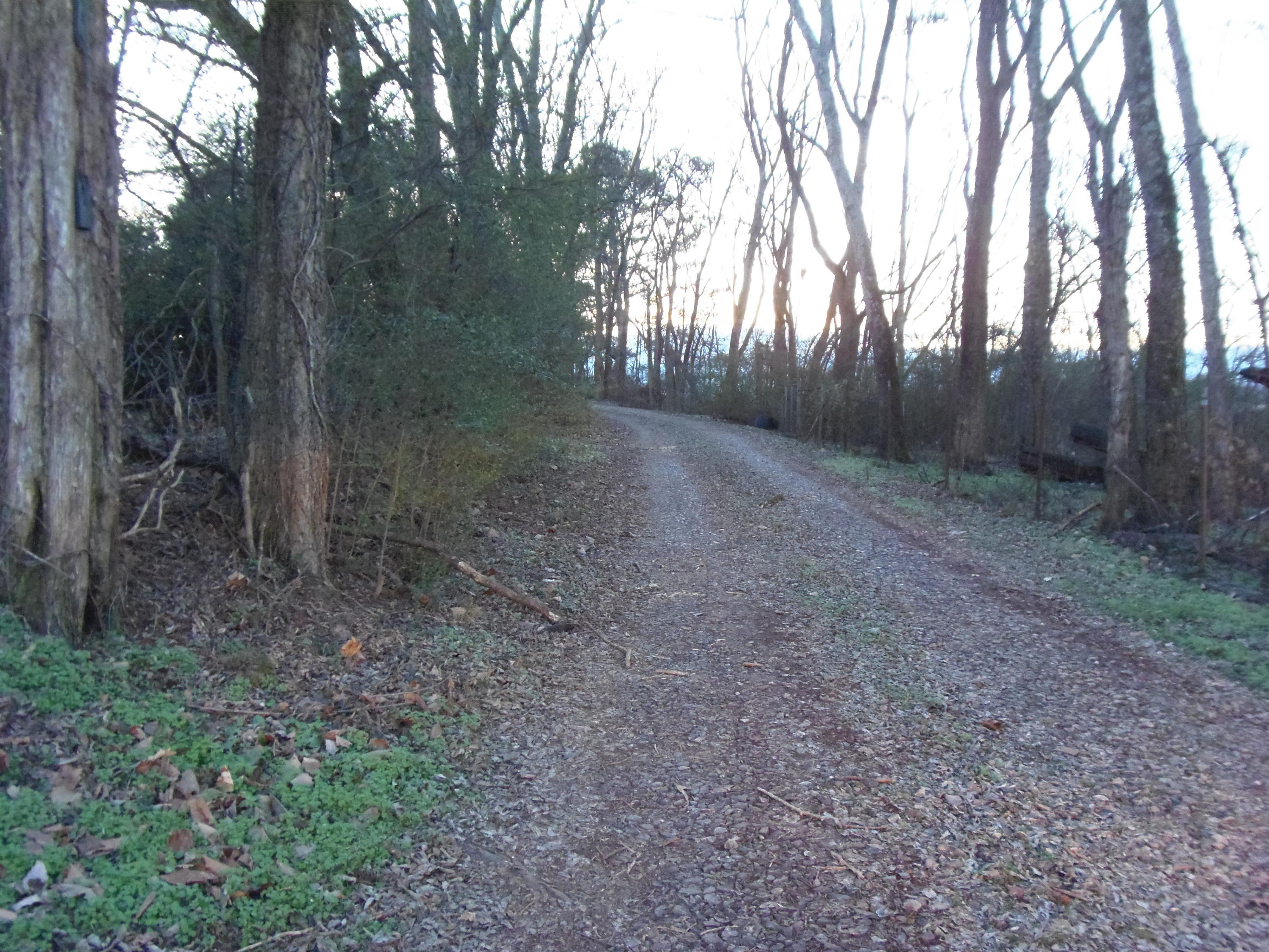 188 Setterberg Road Philadelphia, TN 37846 - Photo 3 of 34 P1100592