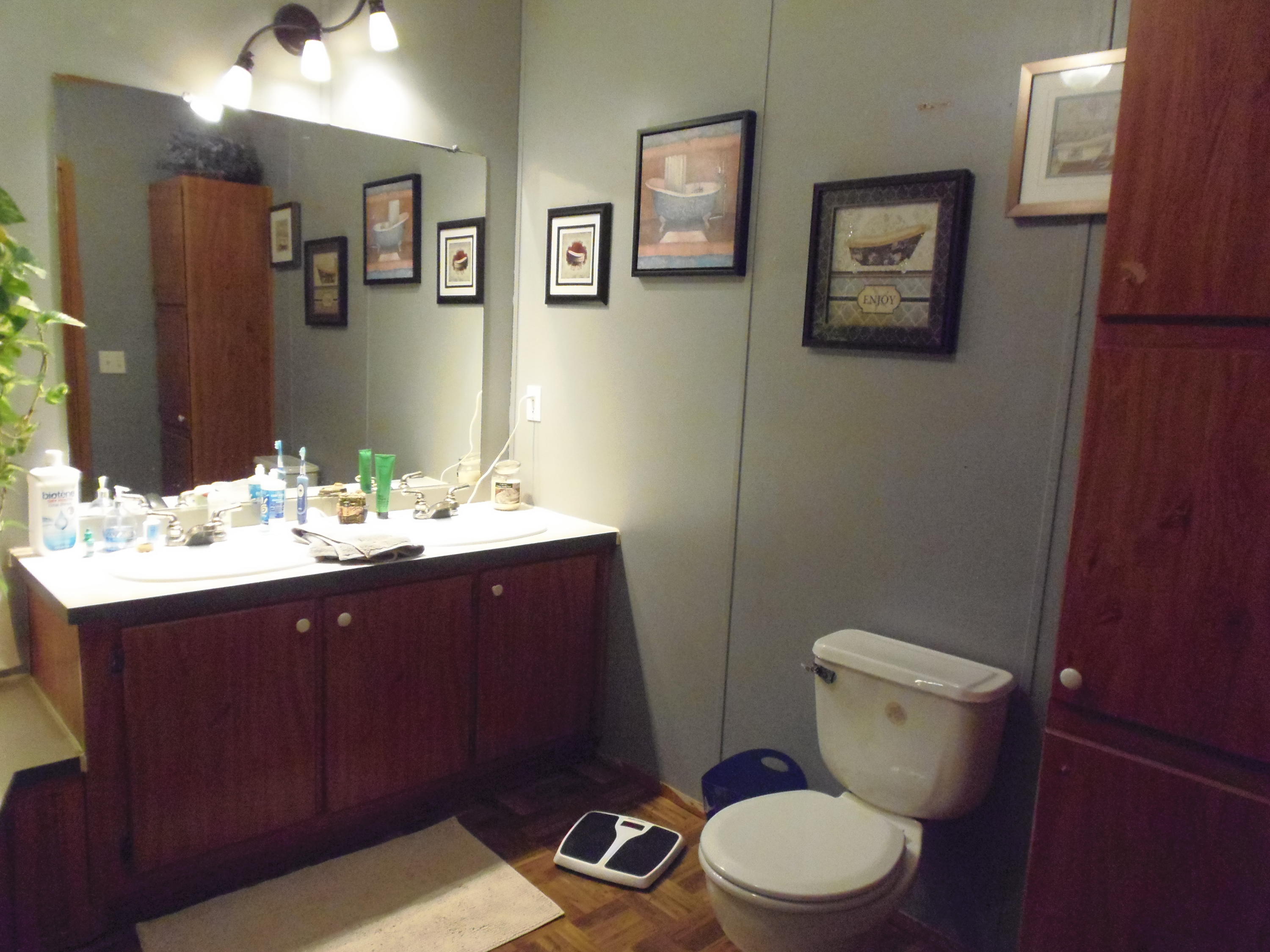 188 Setterberg Road Philadelphia, TN 37846 - Photo 24 of 34 MASTER BATH