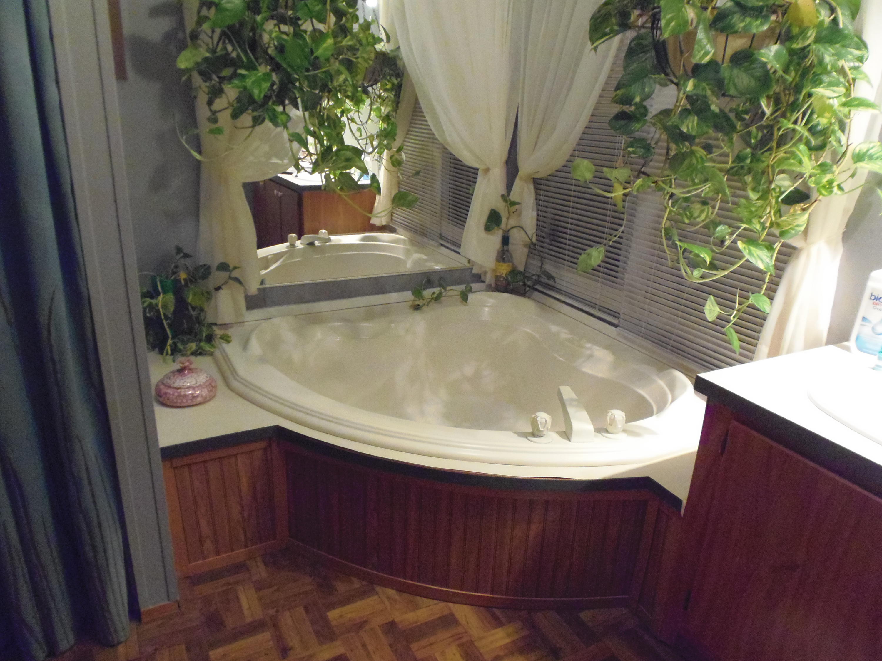 188 Setterberg Road Philadelphia, TN 37846 - Photo 25 of 34 MASTER TUB