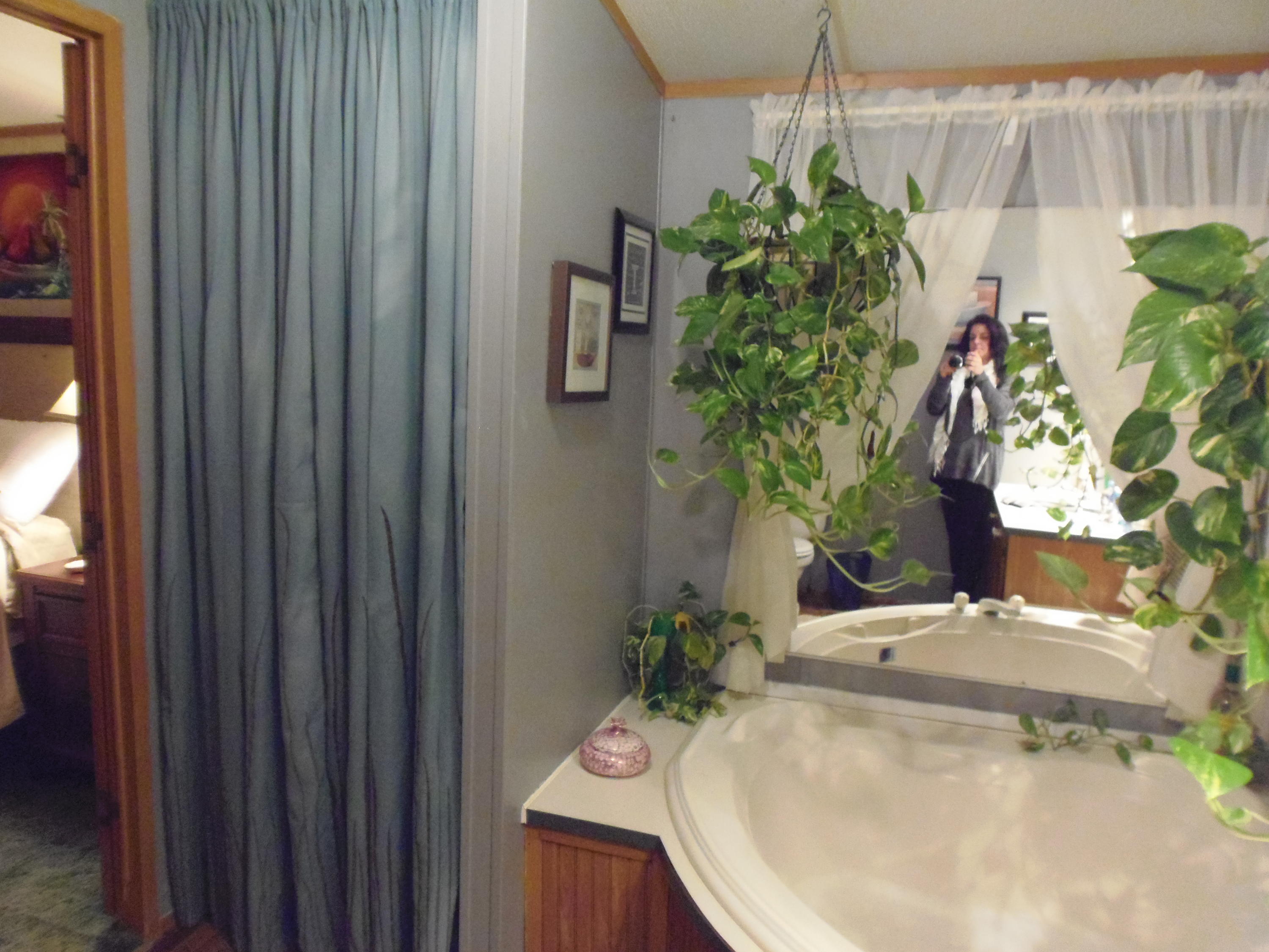 188 Setterberg Road Philadelphia, TN 37846 - Photo 26 of 34 MASTER SHOWER