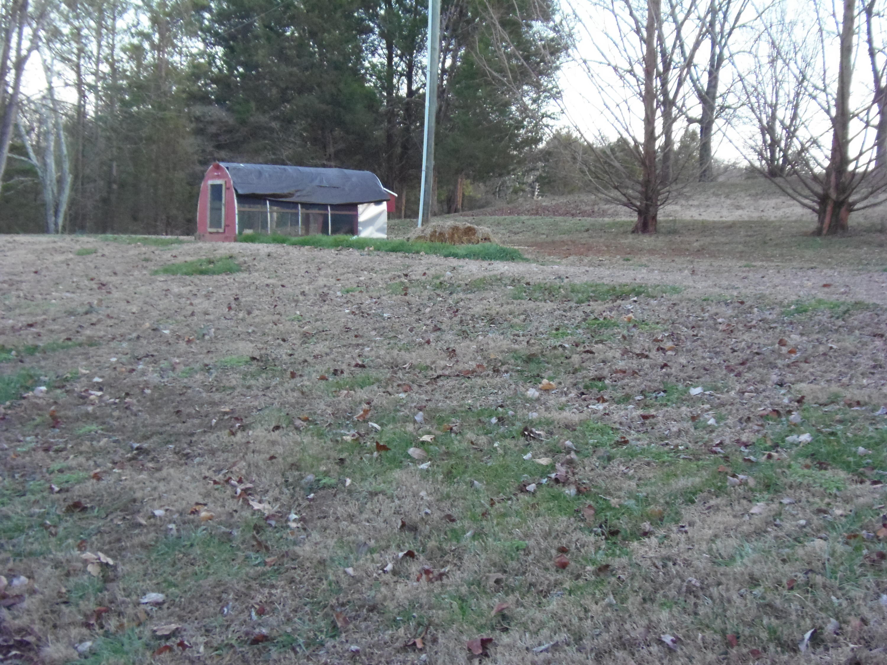 188 Setterberg Road Philadelphia, TN 37846 - Photo 9 of 34 P1100600