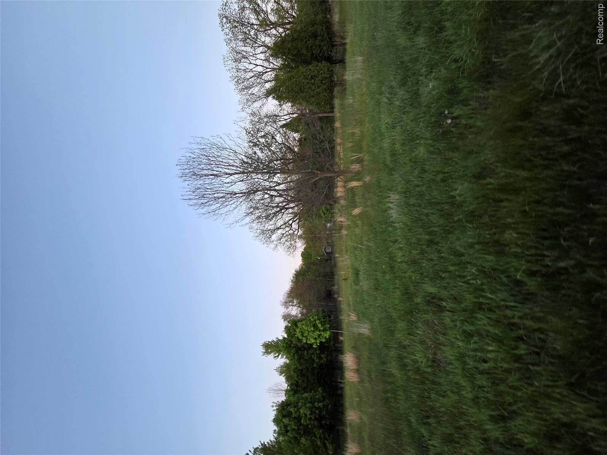 20826 Clark Road Belleville, MI 48111 - Photo 6 of 7 image1.jpeg