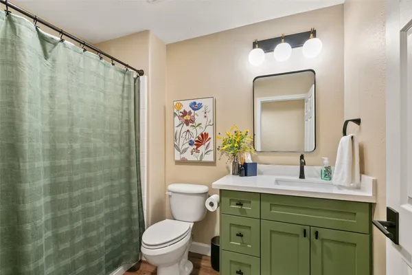 a bathroom with a sink a toilet and shower curtain